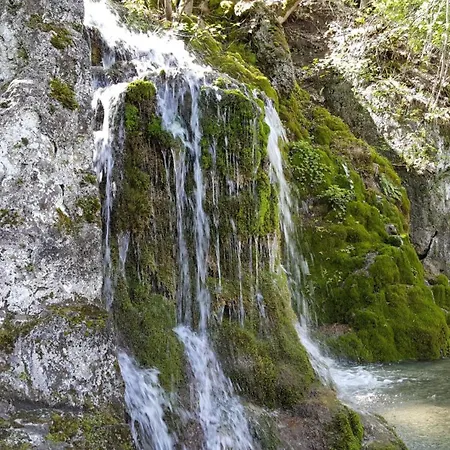 公寓 Haus Eisele *