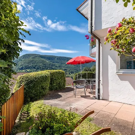 Haus Eisele 公寓 *